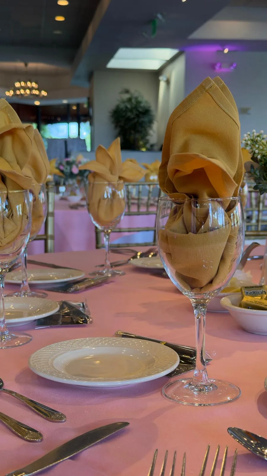 Set for the celebration